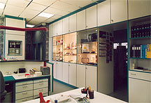 raumhohe Schrankwand mit beleuchteten Glasvitrinen